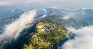 avatar1747735237892 1747735238275828750653