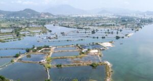 avatar1754465854301 1754465854895101629506