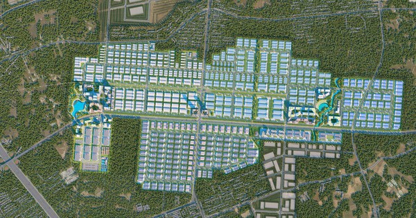 avatar1763088866461 17630888669032041829992